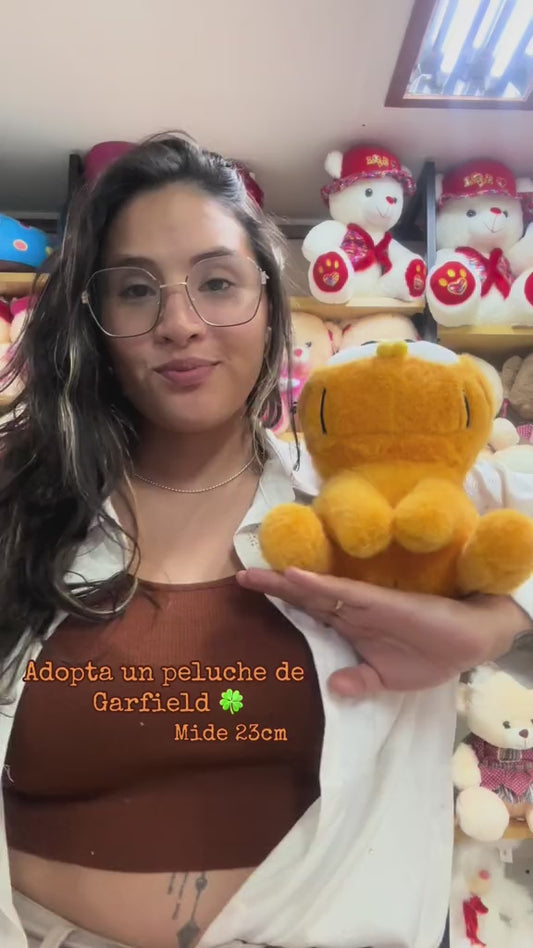 Mini Peluche Garfield🐱🐾